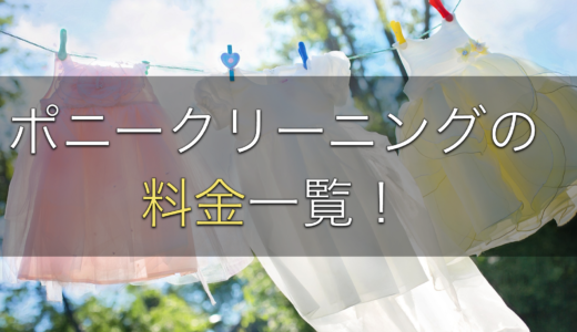 【他社比較あり】ポニークリーニングの料金一覧！オプションや評判も解説